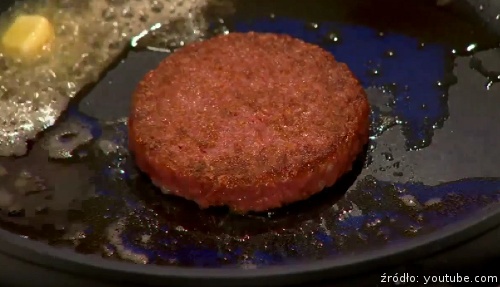 Sezon ogórkowy - hamburger z probówki