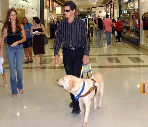 Niewidomy i pies przewodnik
