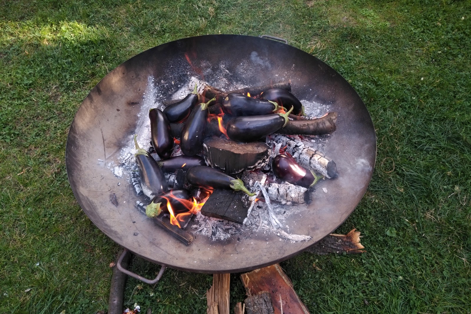 Bakłażany pieczone w ogniu